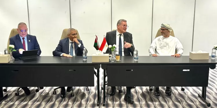 Hydrogène vert: Le Caire et Mascate renforcent leur coopération énergétique 1 - Le Progrès Egyptien