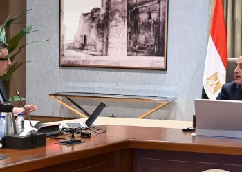 Madbouli: Exploits remarquables dans différents secteurs