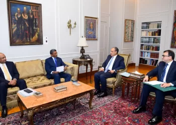 Importance de renforcer la coopération économique, commerciale et d'investissement entre l'Égypte et les Seychelles 4 - Le Progrès Egyptien Importance de renforcer la coopération économique, commerciale et d’investissement entre l’Égypte et les Seychelles