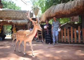 Modernisation des jardins zoologiques et d’Al-Orman
4 - Le Progrès Egyptien Madbouli préside une réunion ministérielle sur la gestion de la dette extérieure