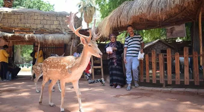 Modernisation des jardins zoologiques et d’Al-Orman
2 - Le Progrès Egyptien Modernisation des jardins zoologiques et d’Al-Orman
1 - Le Progrès Egyptien