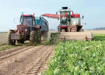 Coopération avec la GIZ et le FIDA pour le développement agricole et rurale