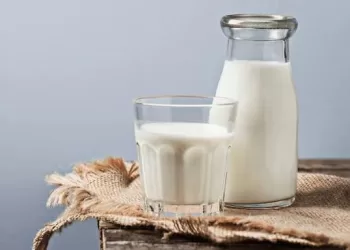 L’art de la mesure: Proverbes et expressions du cœur égyptien 3 - Le Progrès Egyptien L’art de la mesure: Proverbes et expressions du cœur égyptien