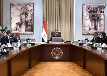 L’Égypte accélère la localisation de l’industrie automobile 3 - Le Progrès Egyptien L’Égypte accélère la localisation de l’industrie automobile