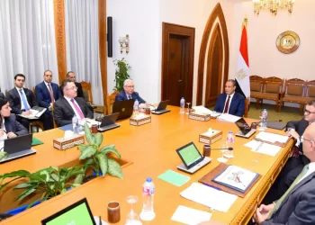 Dr Badr Abdel-Aati réaffirme la priorité africaine de la diplomatie égyptienne