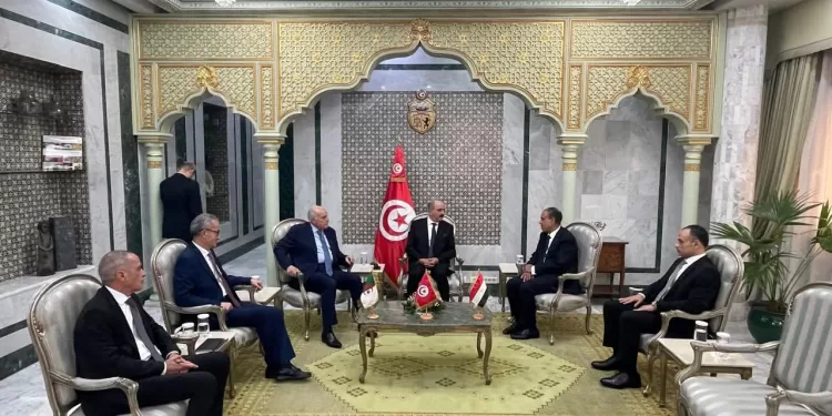 Les ministres des AE de l’Égypte, de la Tunisie et de l’Algérie tiennent une réunion trilatérale 1 - Le Progrès Egyptien