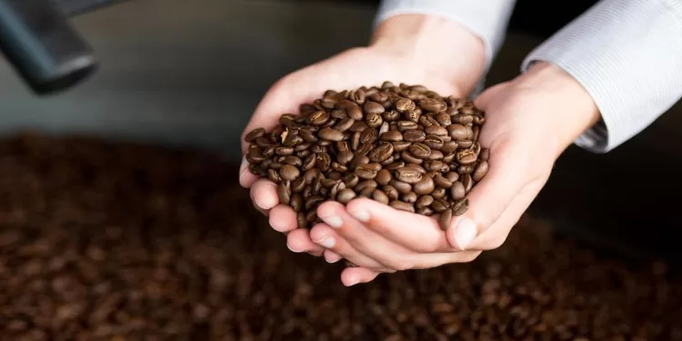 Un voyage au cœur du café égyptien 2 - Le Progrès Egyptien Un voyage au cœur du café égyptien 1 - Le Progrès Egyptien