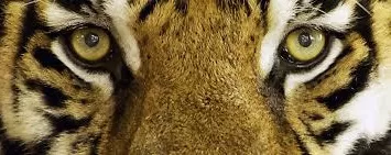 Pour améliorer votre français… 5 - Le Progrès Egyptien