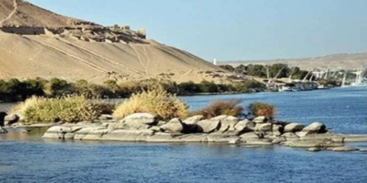 «Shisha»… Une nature vierge et une promenade au bord de la rivière 1 - Le Progrès Egyptien