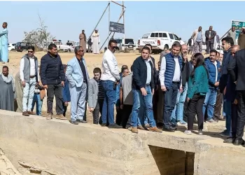 Projet d'investissements agricoles durables à Assouan 3 - Le Progrès Egyptien Projet d’investissements agricoles durables à Assouan