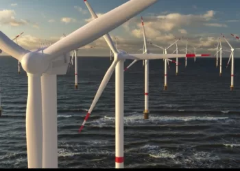 Quand l’éolien en mer menace la biodiversité marine 4 - Le Progrès Egyptien Quand l’éolien en mer menace la biodiversité marine