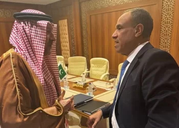 Le chef de la diplomatie égyptienne examine avec le vice-ministre saoudien des AE les relations bilatérales et les évolutions régionales 3 - Le Progrès Egyptien Le chef de la diplomatie égyptienne examine avec le vice-ministre saoudien des AE les relations bilatérales et les évolutions régionales