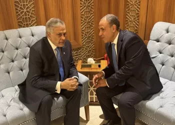 Egypte–Pakistan : Concertation diplomatique en marge du Conseil des ministres de l’OCI