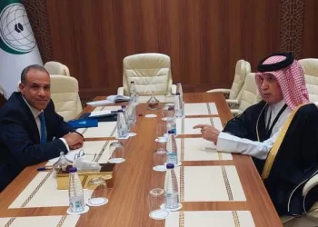 L’Egypte et le Qatar examinent la coopération bilatérale