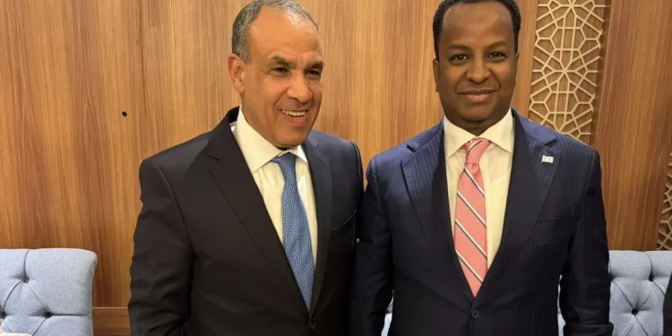 L’Egypte réaffirme son soutien à l’unité et à la stabilité de la Somalie 1 - Le Progrès Egyptien