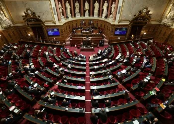 Fin de vie: après avoir refusé l'aide à mourir, le Sénat français penche sur les soins palliatifs 4 - Le Progrès Egyptien Fin de vie: après avoir refusé l’aide à mourir, le Sénat français penche sur les soins palliatifs