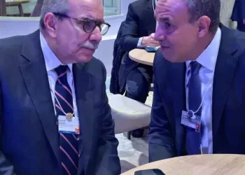 Le ministre égyptien des AE tient une série de réunions en marge du Forum de Davos 5 - Le Progrès Egyptien Le ministre égyptien des AE tient une série de réunions en marge du Forum de Davos