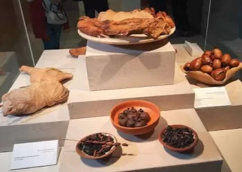 La nourriture des pharaons: Révélations archéologiques sur banquets