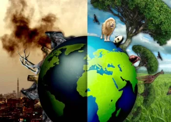 Les sommes dépensées pour détruire la nature, 30 fois plus celles investies pour la protéger