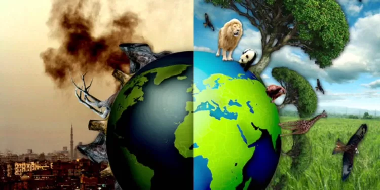 Les sommes dépensées pour détruire la nature, 30 fois plus celles investies pour la protéger 1 - Le Progrès Egyptien