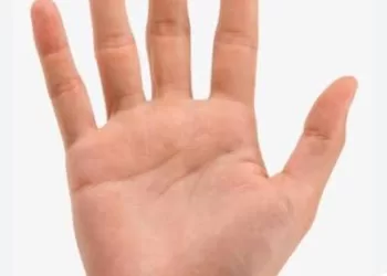 Chroniques du parler cairote – Quand la main raconte tout