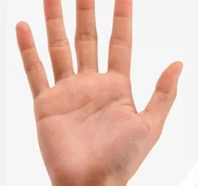 Chroniques du parler cairote – Quand la main raconte tout 1 - Le Progrès Egyptien