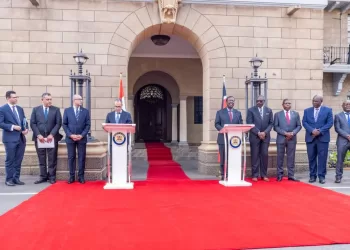 Le ministre égyptien des Affaires étrangères rencontre son homologue kényan