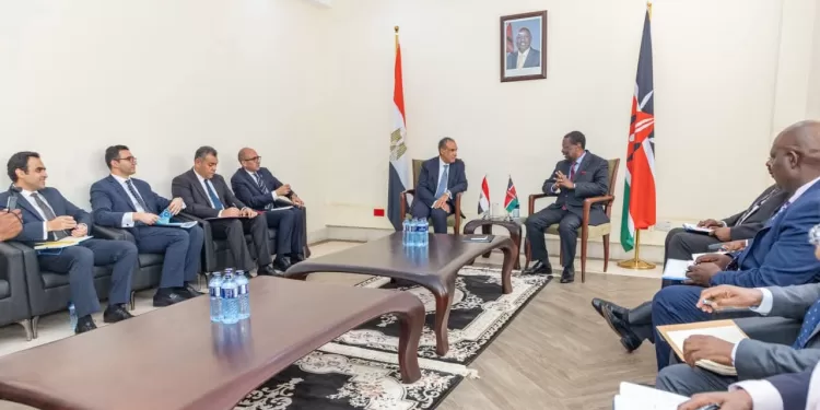 Consultations ministérielles Égypte-Kenya 1 - Le Progrès Egyptien