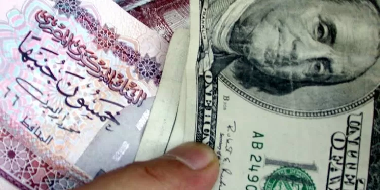 Hausse historique des transferts de fonds des Égyptiens de l'étranger 1 - Le Progrès Egyptien