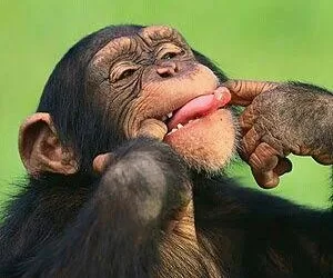 Histoires de ma grand-mère: La traversée