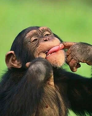 Histoires de ma grand-mère: La traversée 1 - Le Progrès Egyptien