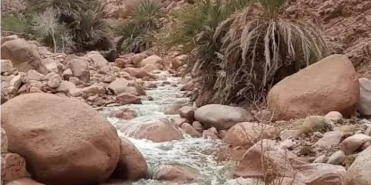 Wadi Talah à Sainte-Catherine, une destination touristique sans pareil 1 - Le Progrès Egyptien