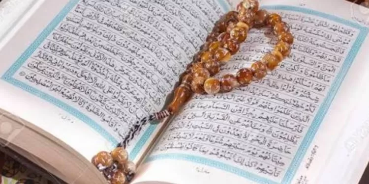 L’islam: Une religion de sens, de valeurs et d’équilibre 1 - Le Progrès Egyptien