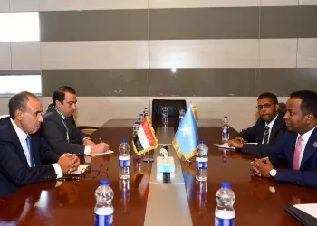 L’Egypte et la Somalie examinent la coordination des positions sur les questions d’intérêt commun
