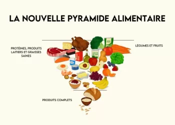 La pyramide alimentaire changée, le mode de vie aussi ! 3 - Le Progrès Egyptien La pyramide alimentaire changée, le mode de vie aussi !