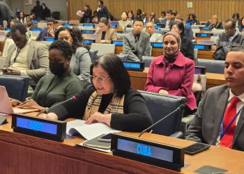 La vice-ministre de la Solidarité sociale prononce un discours à la 64e session de la Commission du développement social de l'ONU 3 - Le Progrès Egyptien La vice-ministre de la Solidarité sociale prononce un discours à la 64e session de la Commission du développement social de l’ONU