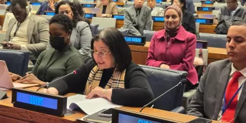 La vice-ministre de la Solidarité sociale prononce un discours à la 64e session de la Commission du développement social de l’ONU