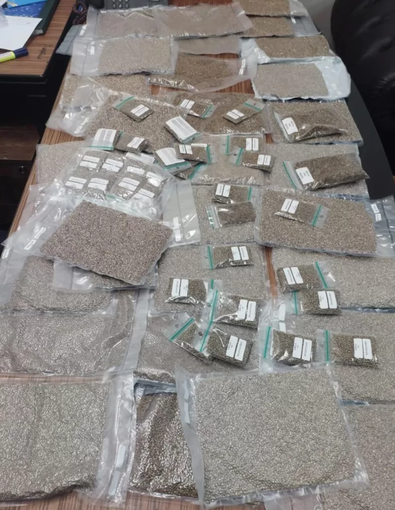 CIA: Les douanes déjouent la plus importante tentative de trafic de drogue 5 - Le Progrès Egyptien