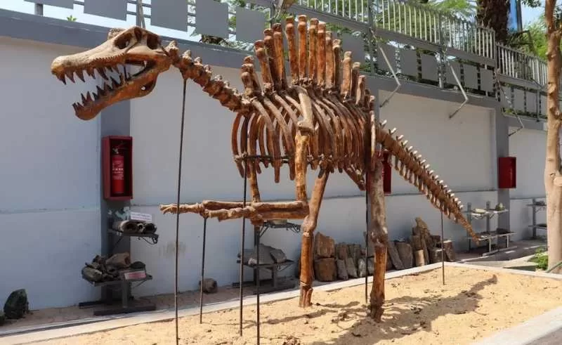 L’Égypte autrement 10 - Le Progrès Egyptien L’Égypte autrement 9 - Le Progrès Egyptien