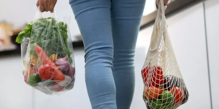 La guerre est déclarée aux sacs plastiques à usage unique 1 - Le Progrès Egyptien