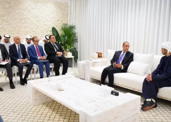 Message de solidarité de l’Égypte aux Émirats lors de la visite d’Abdel Aati 4 - Le Progrès Egyptien Message de solidarité de l’Égypte aux Émirats lors de la visite d’Abdel Aati