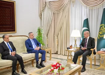 Pakistan–Égypte–Turquie : Coordination pour la désescalade 3 - Le Progrès Egyptien Pakistan–Égypte–Turquie : Coordination pour la désescalade