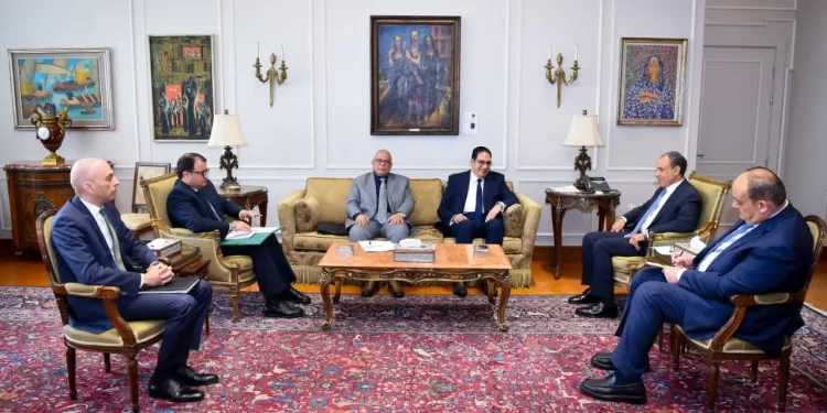 Le ministre des AE examine les préparatifs de la Journée de l'Afrique 1 - Le Progrès Egyptien