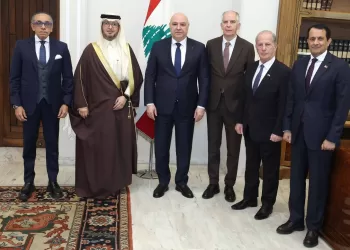 Liban : Le Caire et la « Quintette » mobilisés face à l'escalade 3 - Le Progrès Egyptien Liban : Le Caire et la « Quintette » mobilisés face à l’escalade