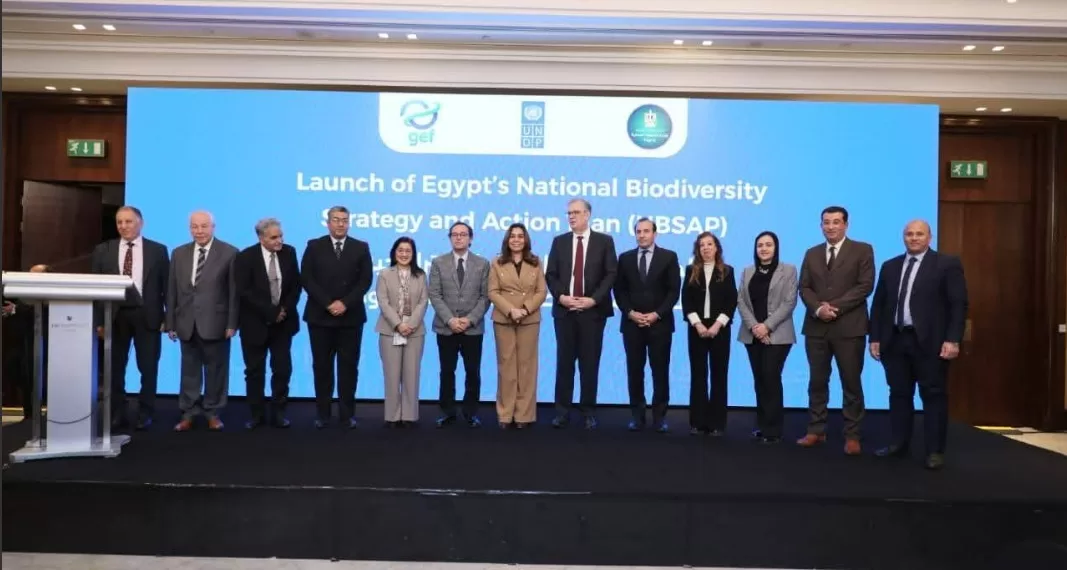 Le Progrès Egyptien 52 - Le Progrès Egyptien