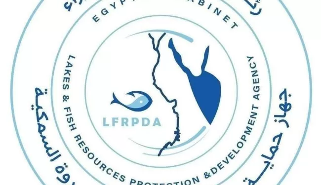 40 tonnes de poissons récoltées à la ferme piscicole d’El-Manzala 2 - Le Progrès Egyptien 40 tonnes de poissons récoltées à la ferme piscicole d’El-Manzala 1 - Le Progrès Egyptien