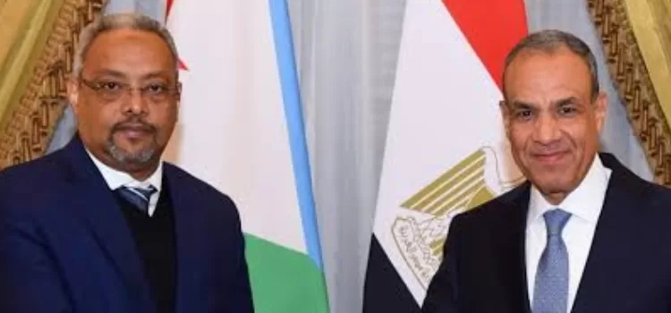 Le ministre des A E. s'entretient avec son homologue djiboutien de la situation dans la Corne africaine 1 - Le Progrès Egyptien