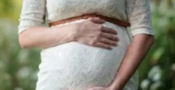 Chaque nouvelle grossesse modifierait le cerveau de la femme différemment 2 - Le Progrès Egyptien Chaque nouvelle grossesse modifierait le cerveau de la femme différemment 1 - Le Progrès Egyptien