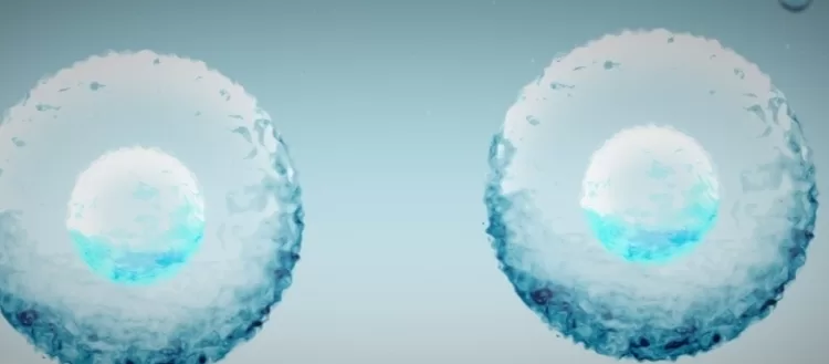 Japon: Un traitement contre la maladie de Parkinson approuvé 1 - Le Progrès Egyptien