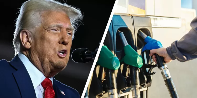 Trump minimise la hausse des prix de l'essence 1 - Le Progrès Egyptien
